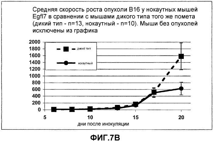 Композиции и способы для регуляции развития сосудов (патент 2365382)