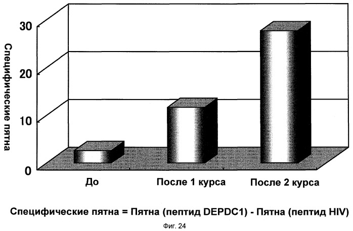 Пептидные вакцины против рака с экспрессией полипептидов mphosph1 или depdc1 (патент 2469044)