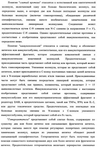 Биспецифические антитела к erb-b и их применение для лечения опухолей (патент 2349340)