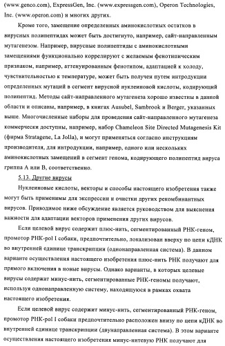 Способы и композиции для экспрессии антисмысловой вирусной рнк в клетках собаки (патент 2457250)
