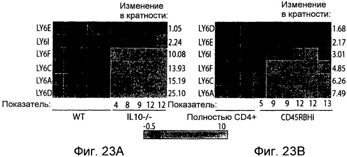 Способы выявления воспалительного заболевания кишечника (патент 2502806)