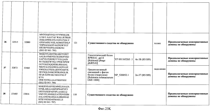 Бактериофаг, обладающий активностью против pseudomonas aeruginosa, белки бактериофага и способы их применения (патент 2580248)
