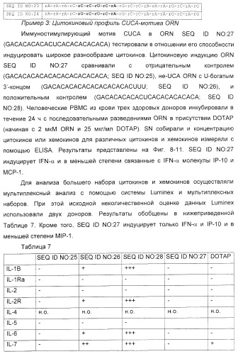 Мотивы последовательности рнк в контексте определенных межнуклеотидных связей, индуцирующие специфические иммуномодулирующие профили (патент 2435851)