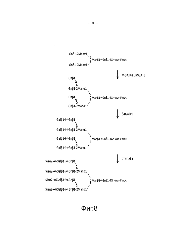 Способы получения сахарной цепи, содержащей сиаловую кислоту (патент 2597975)