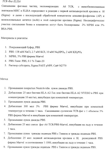 Экспонирование т-клеточных рецепторов (патент 2346004)