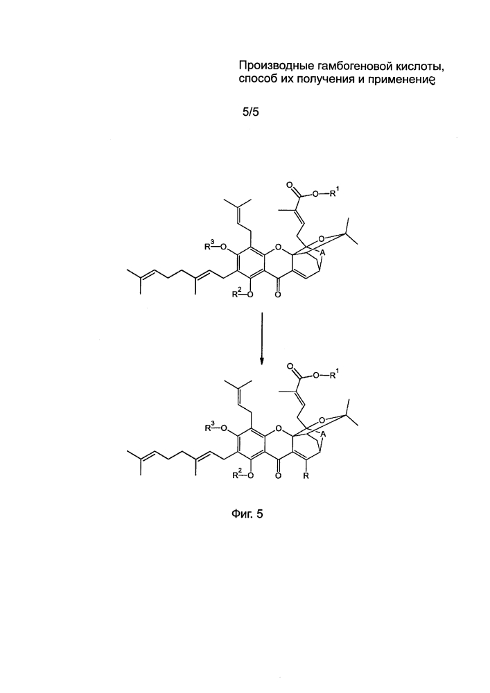 Производные гамбогеновой кислоты, способ их получения и применение (патент 2598032)