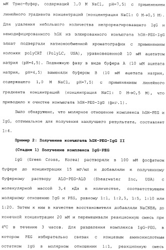 Физиологически активный полипептидный конъюгат, обладающий пролонгированным периодом полувыведения in vivo (патент 2312868)