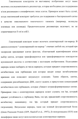 Растения с повышенной урожайностью и способ их получения (патент 2377306)