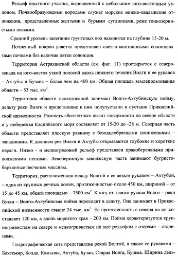 Способ возделывания яровой пшеницы предпочтительно в зоне светло-каштановых почв нижнего поволжья (варианты) (патент 2348137)