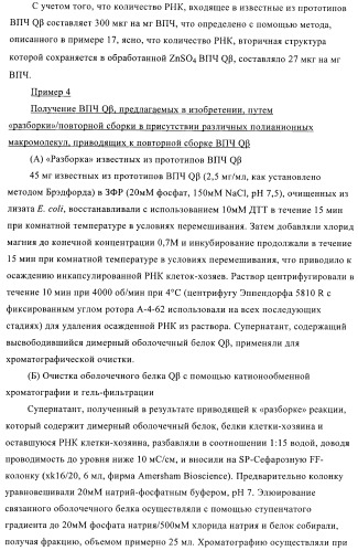 Конъюгаты впч-антиген и их применение в качестве вакцин (патент 2417793)