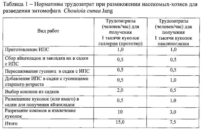 Способ выращивания энтомофага chouioia cunea jang (патент 2558297)