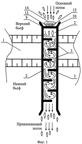 Способ пропуска рыб через рыбоход из нижнего бьефа гидроузла в верхний бьеф (варианты) (патент 2377365)
