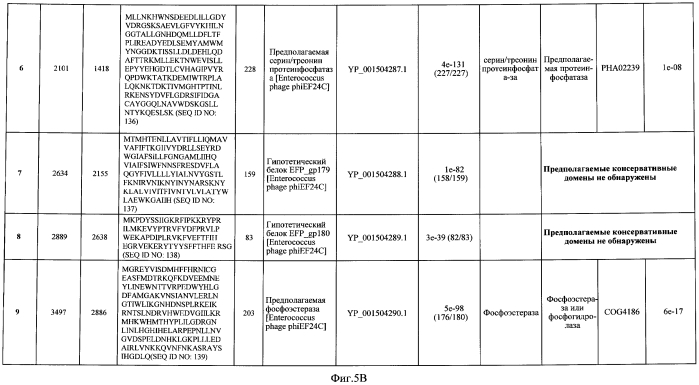 Бактериофаг, обладающий активностью против pseudomonas aeruginosa, белки бактериофага и способы их применения (патент 2580248)