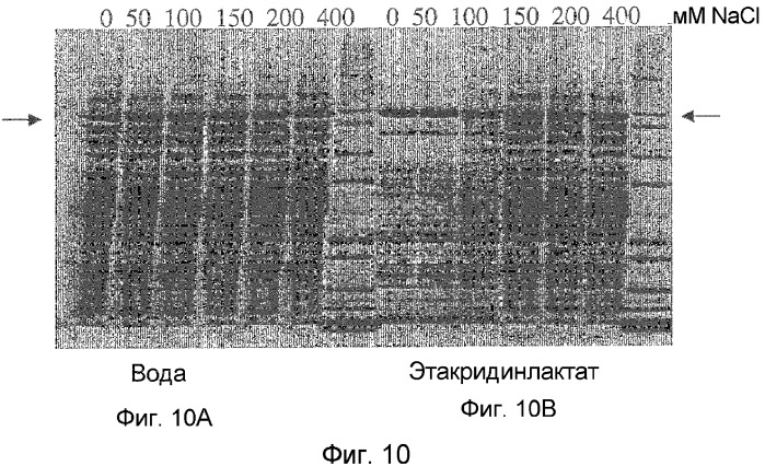 Способ очистки гетерологичного полипептида (патент 2337968)