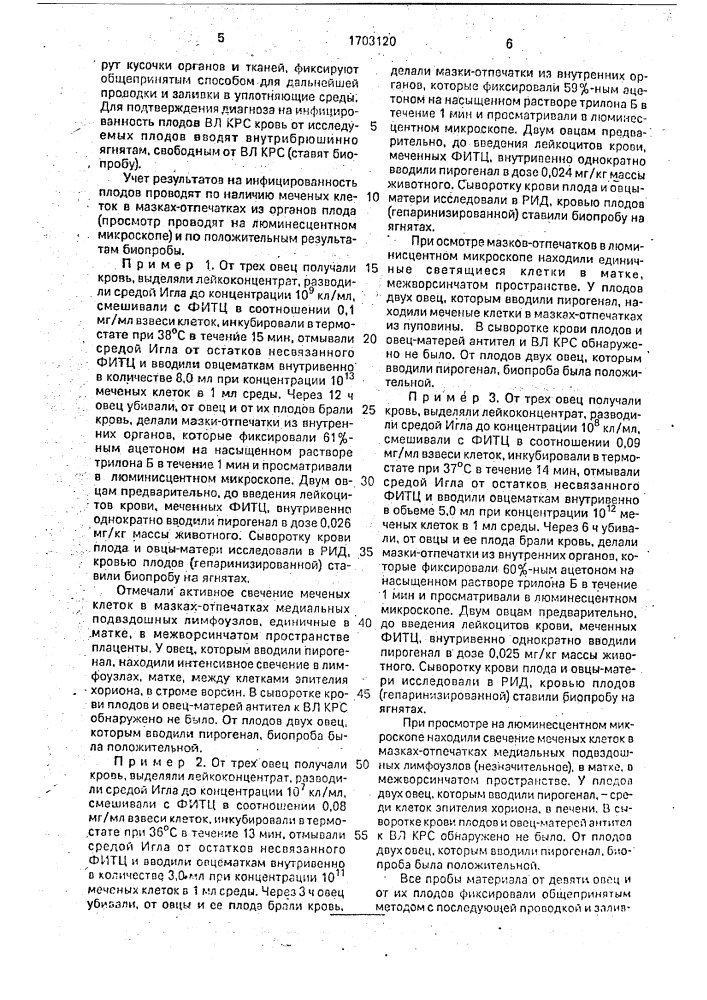 Способ диагностики инфицированности плодов овец вирусом лейкоза крупного рогатого скота (патент 1703120)