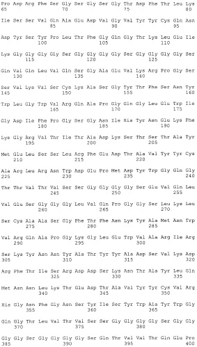 Pscaxcd3, cd19xcd3, c-metxcd3, эндосиалинxcd3, epcamxcd3, igf-1rxcd3 или fap-альфаxcd3 биспецифическое одноцепочечное антитело с межвидовой специфичностью (патент 2547600)