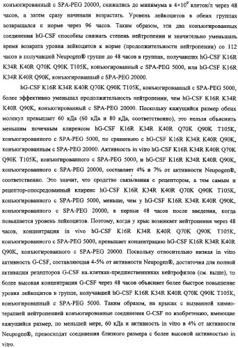 Конъюгаты g-csf (патент 2307126)