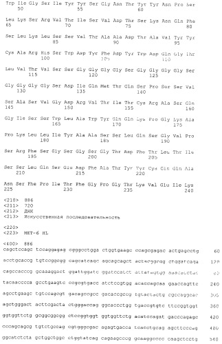 Pscaxcd3, cd19xcd3, c-metxcd3, эндосиалинxcd3, epcamxcd3, igf-1rxcd3 или fap-альфаxcd3 биспецифическое одноцепочечное антитело с межвидовой специфичностью (патент 2547600)