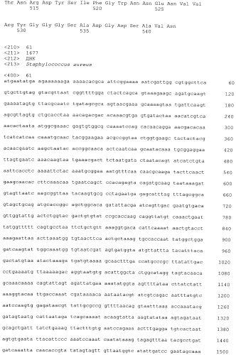 Стабильные иммуногенные композиции антигенов staphylococcus aureus (патент 2570730)