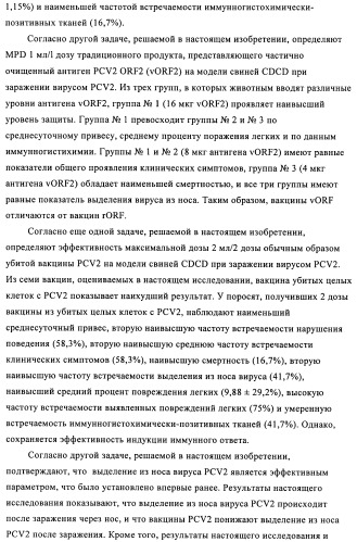 Поливалентные иммуногенные композиции pcv2 и способы получения таких композиций (патент 2488407)