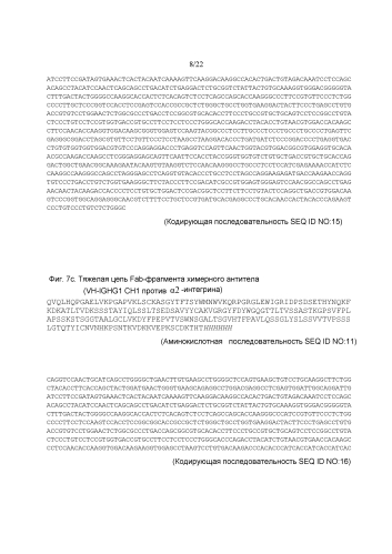 Пептид или пептидный комплекс, связывающийся с альфа2-интегрином, способы его получения и применения указанного вещества (патент 2588668)