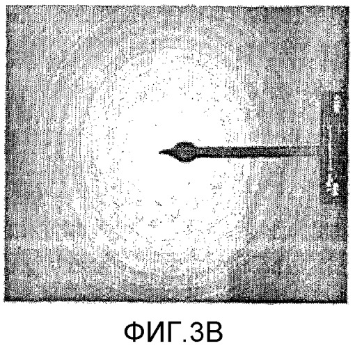 Полимерные наночастицы, покрытые оксидом магнитного металла, и их применение (патент 2472530)