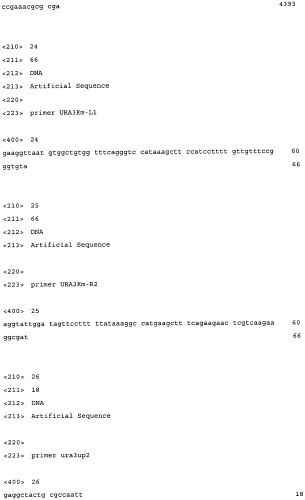 Дрожжевой экстракт, содержащий гамма-glu-x или гамма-glu-x-gly, и способ его получения (патент 2496864)