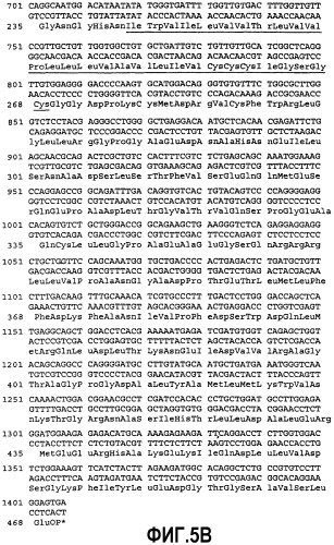 Способы применения агонистов аро-2l-рецепторов и активаторов nk-клеток (патент 2395294)