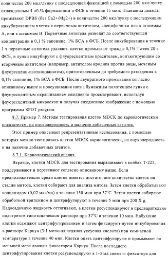 Линии клеток почки собаки майдин-дэрби (mdck), поддерживающие рост вирусов до высоких титров, и способ применения этих клеток в биореакторе (патент 2487935)