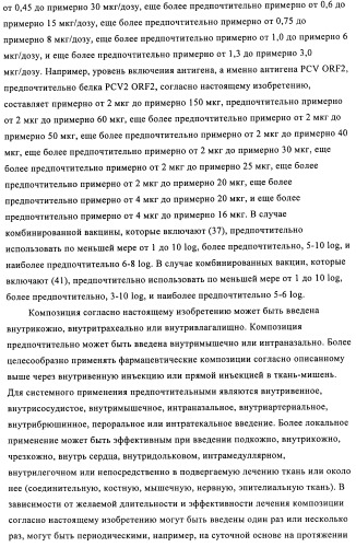 Поливалентные иммуногенные композиции pcv2 и способы получения таких композиций (патент 2488407)