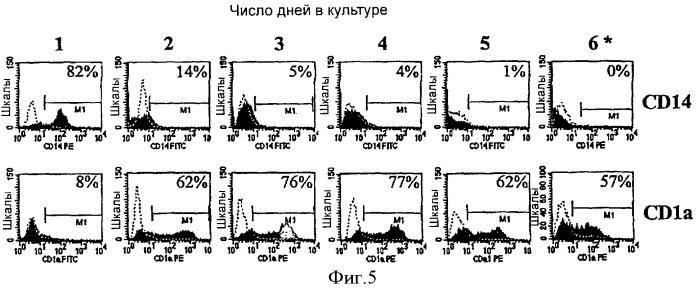 Генерирование дендритных клеток из моноцитарных предшественников дендритных клеток с помощью gm-csf в отсутствие дополнительных цитокинов (патент 2364625)