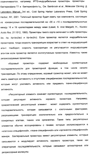 Продуцирование il-21 в прокариотических клетках-хозяевах (патент 2354703)