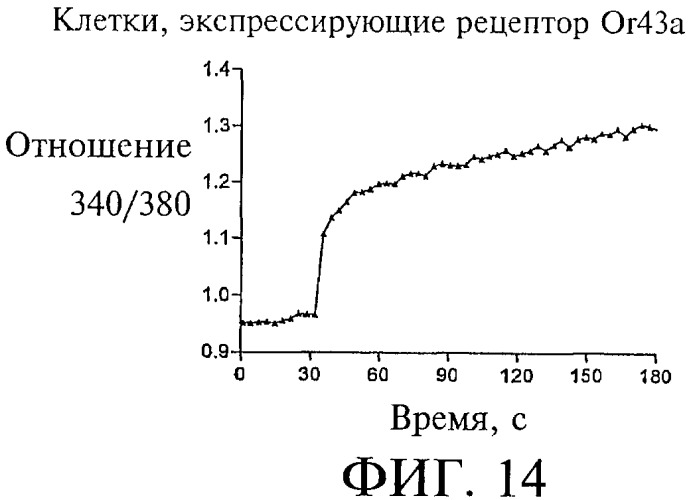 Композиции и способы борьбы с насекомыми (патент 2388225)