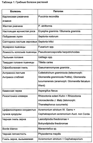 Новые последовательности нуклеиновых кислот и их применение в способах достижения устойчивости к патогенам в растениях (патент 2346985)