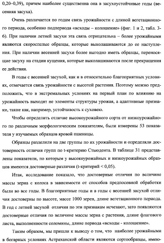 Способ возделывания яровой пшеницы предпочтительно в зоне светло-каштановых почв нижнего поволжья (варианты) (патент 2348137)