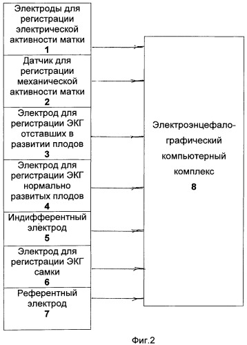 Способ оценки функционального состояния самки кролика и ее плодов на фоне индуцированных сокращений матки в хроническом опыте (патент 2472229)