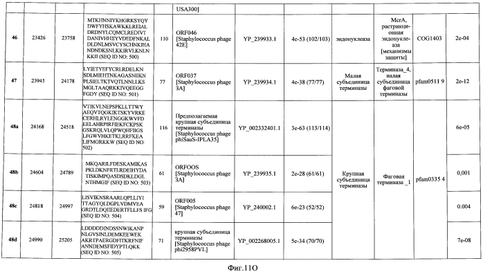 Бактериофаг, обладающий активностью против pseudomonas aeruginosa, белки бактериофага и способы их применения (патент 2580248)