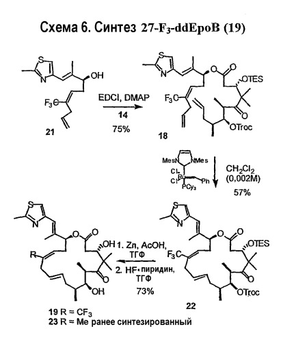 Синтез эпотилонов, их промежуточных продуктов, аналогов и их применения (патент 2462463)