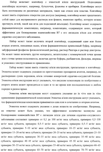 Способ лечения сердечно-сосудистого заболевания с применением растворимого ctla4 (патент 2353384)