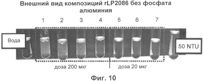 Стабильные композиции антигенов neisseria meningitidis rlp2086 (патент 2580620)