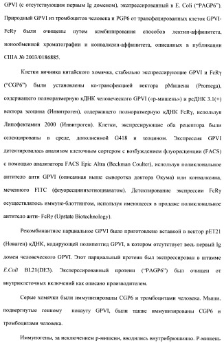 Антитела к гликопротеину vi и способы продуцирования и использования этих антител (патент 2407752)