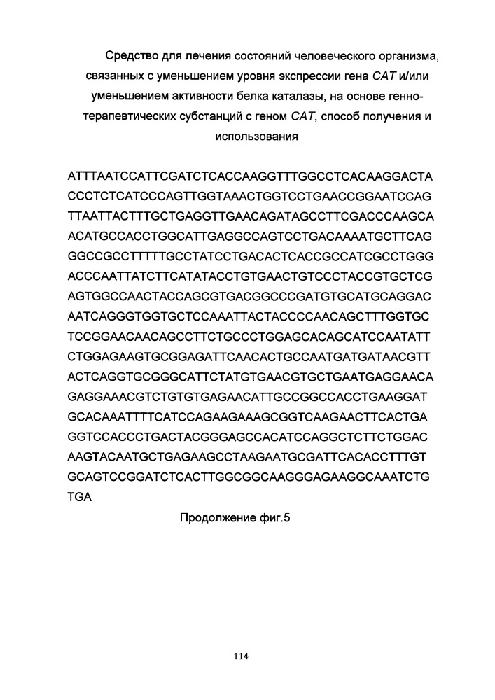 Средство для лечения состояний человеческого организма, связанных с уменьшением уровня экспрессии гена сат и/или уменьшением активности белка каталазы на основе генно-терапевтических субстанций с геном сат, способ получения и использования (патент 2649814)