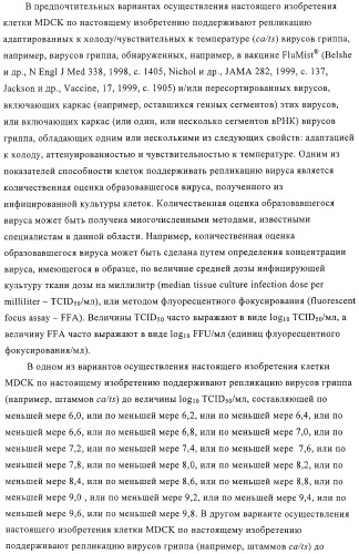 Линии клеток почки собаки майдин-дэрби (mdck), поддерживающие рост вирусов до высоких титров, и способ применения этих клеток в биореакторе (патент 2487935)