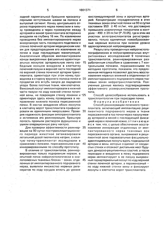 Способ реиннервации почечного трансплантата (патент 1801371)