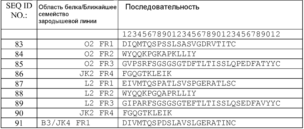 Терапевтические dll4-связывающие белки (патент 2605928)