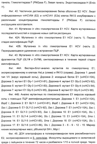 Очищенные белки оболочки вируса гепатита с для диагностического и терапевтического применения (патент 2313363)