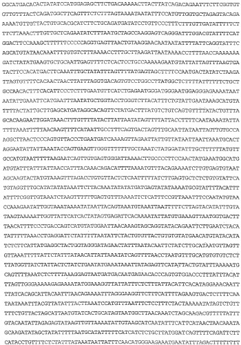 Применение s1p (патент 2362565)