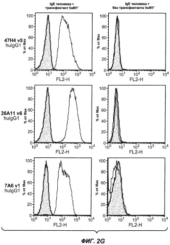 Апоптотические антитела против ige (патент 2500686)