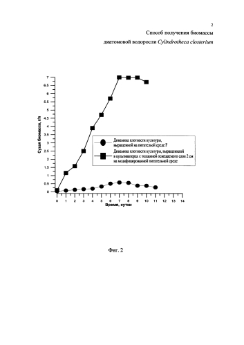 Способ получения биомассы диатомовой водоросли cylindrotheca closterium (патент 2582182)