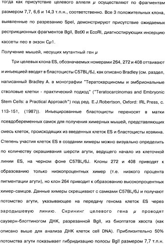 Человеческие моноклональные антитела к рецептору эпидермального фактора роста (egfr), способ их получения и их использование, гибридома, трансфектома, трансгенное животное, экспрессионный вектор (патент 2335507)